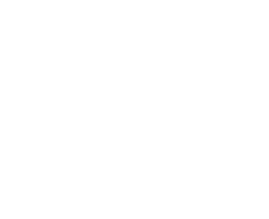 Lapalingo